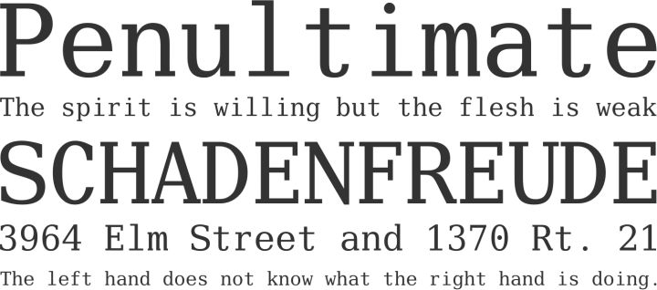 25. Verily serif mono