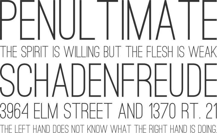 16 Ostrich Sans
