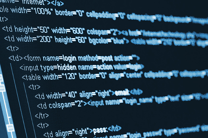 Wordpress Removing Bugs