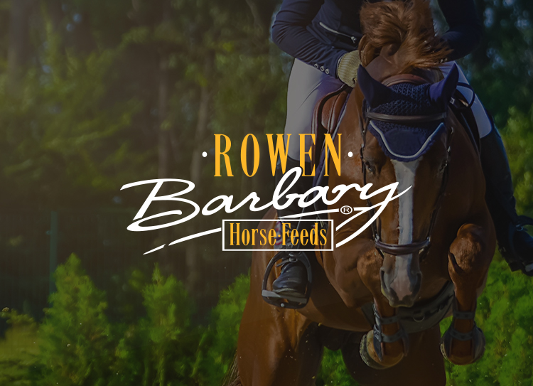 Rowen Barbary Logo Horse and Rider Background