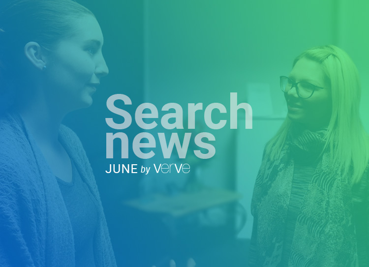 Search Engine Optimisation Team Search News June