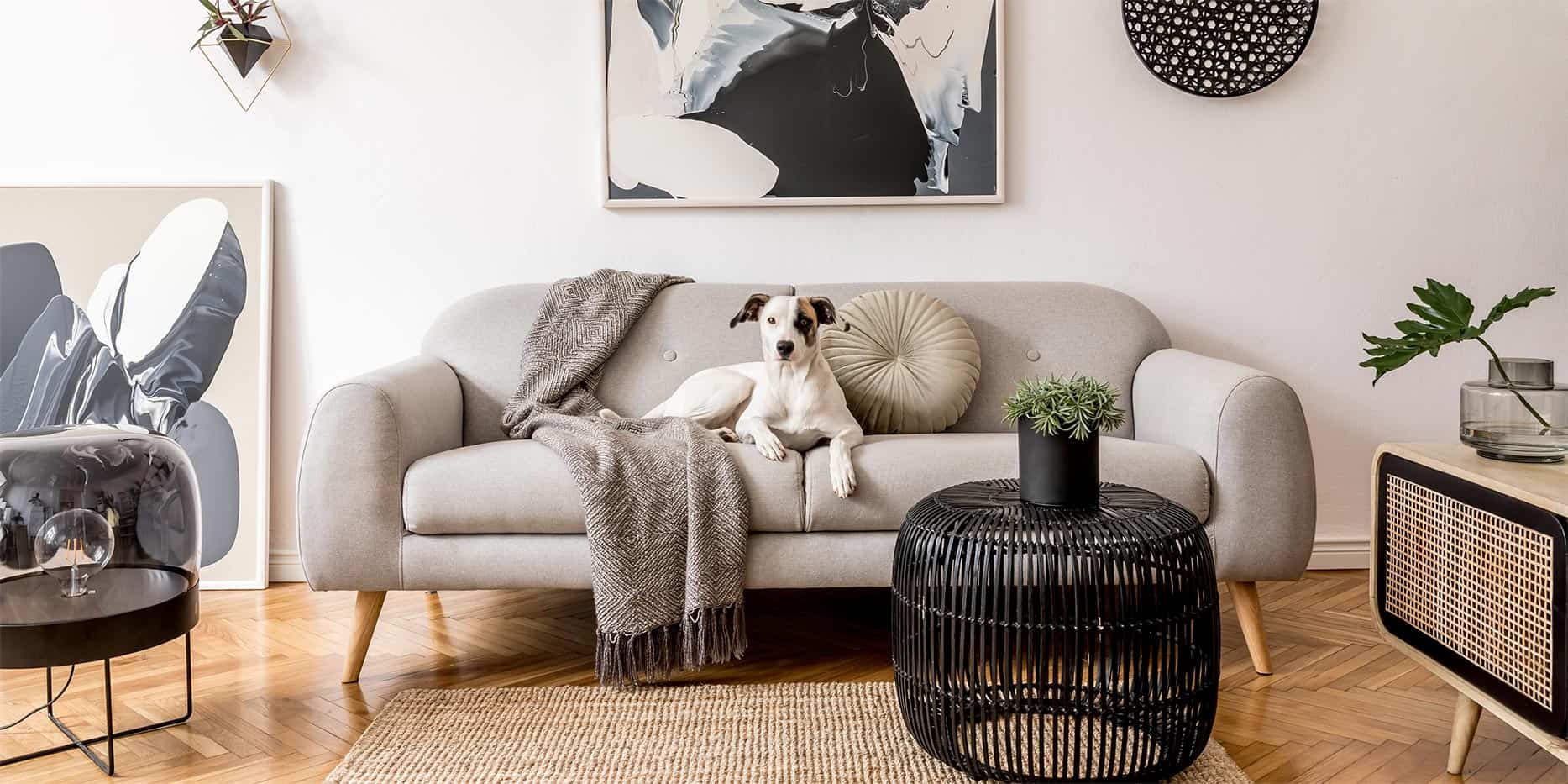 Timber Art Design Dog on a couch