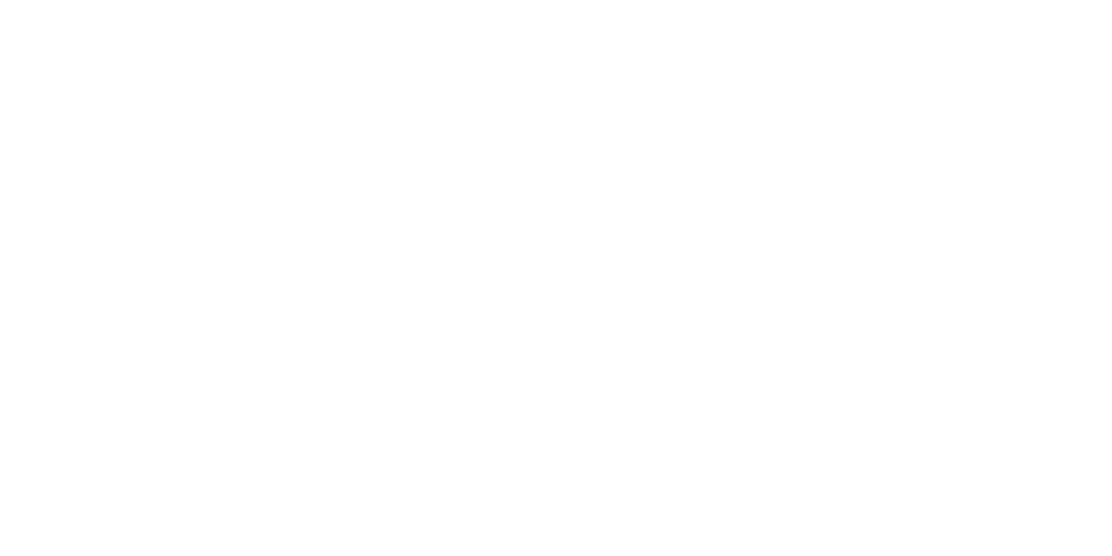The Style Coaching Institute Logo