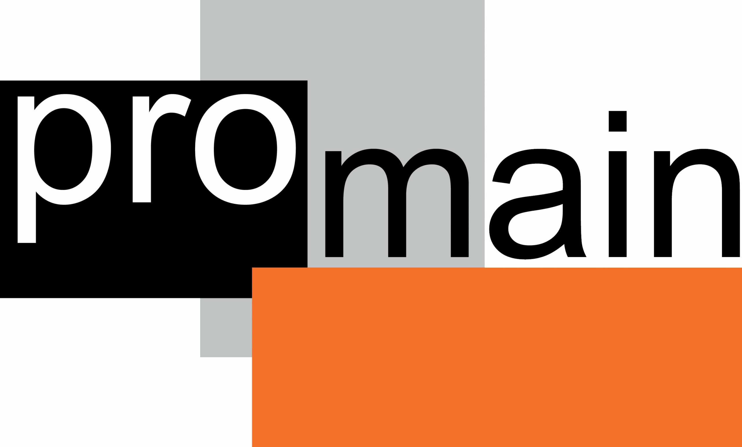 Promain Logo