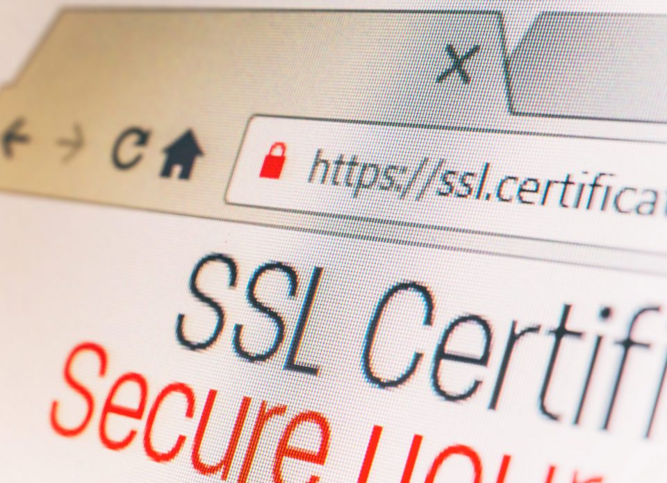 Verve News Articles Browser showing a SSL Securing your website