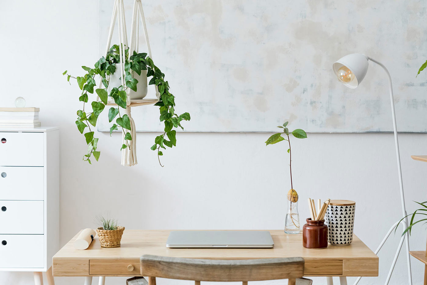 Desk set up with hanging plant, laptop and lamp