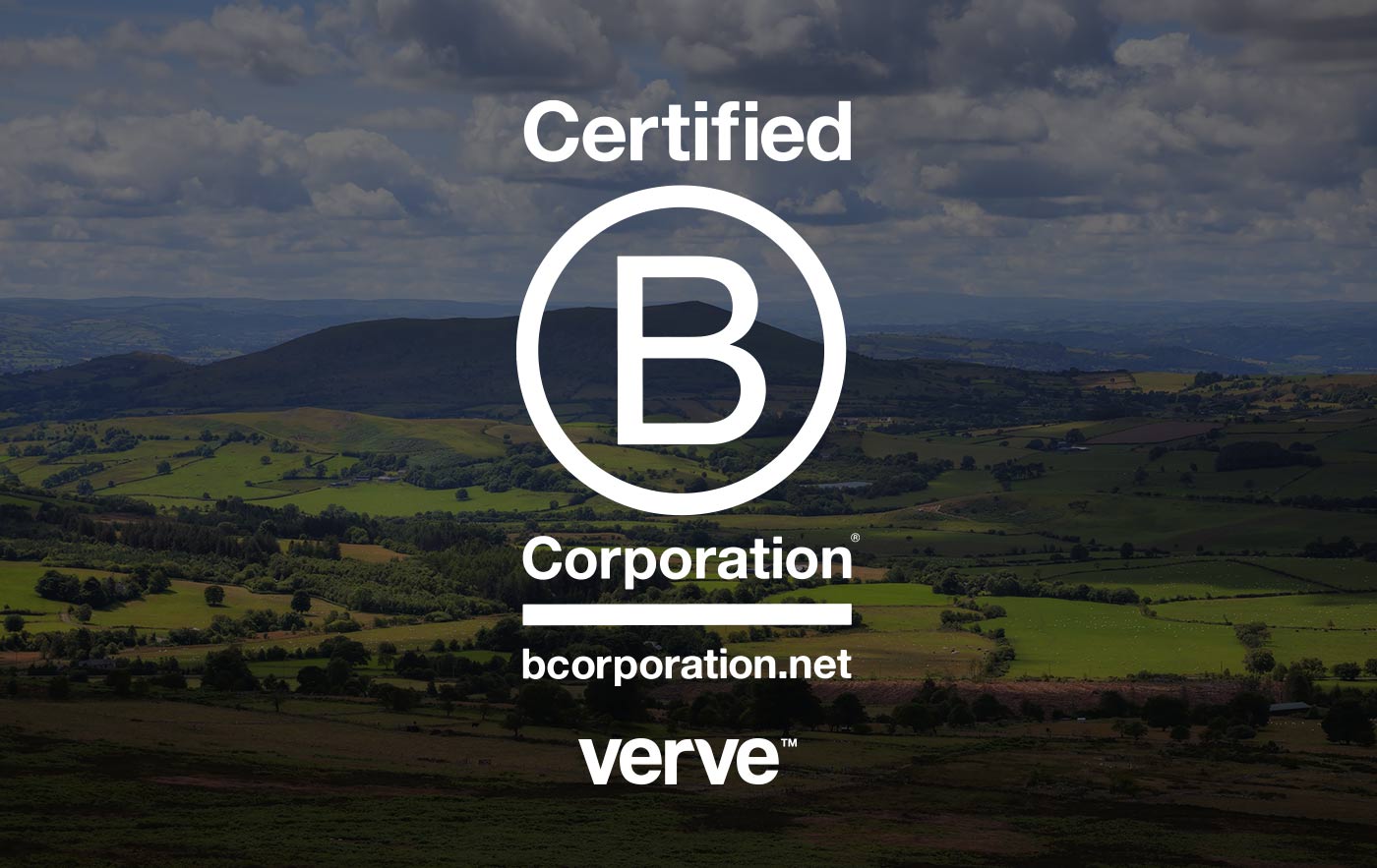 Verve News Articles Verve Achieves B Corp Certification