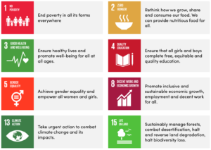 Un sustainability goals achieved by this project